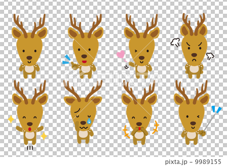 鹿　シカ　動物　家畜　表情　ポーズ 9989155