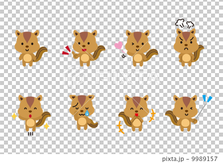 リス　小動物　動物　家畜　表情　ポーズ 9989157