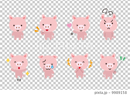 Pig pig animal livestock expression pose 9989158