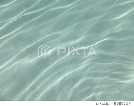 モルディブ 9989217