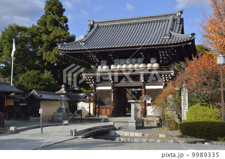 梅宮大社 9989335