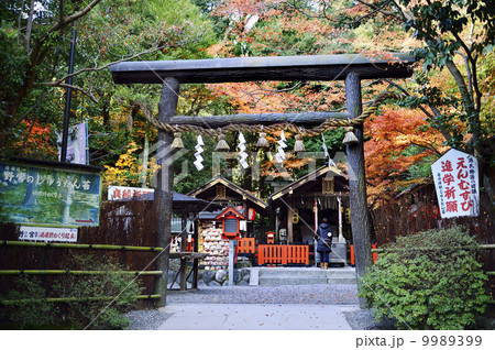 野宮神社 黒木の鳥居 野宮神社 黒木の鳥居 9989399