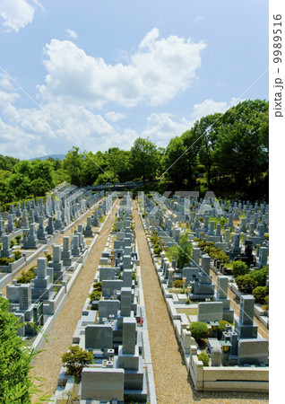 墓地 墓地 9989516