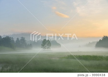 朝霧の尾瀬・大江湿原 朝霧の尾瀬・大江湿原 9990438