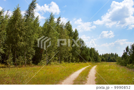dirt road in a field 9990852