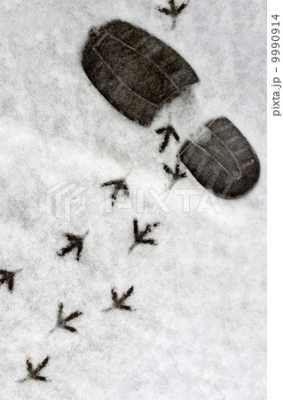 footprints in a snow 9990914