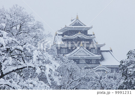 岡山城 9991231