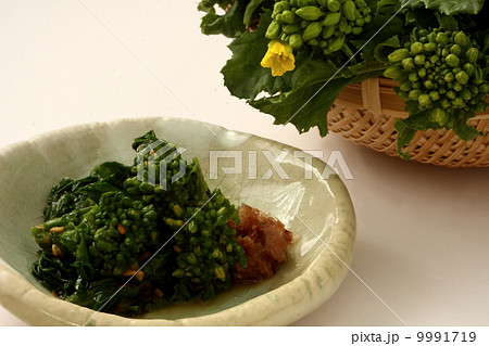 菜の花のお浸し 和食 白背景 菜の花のお浸し 和食 白背景 9991719