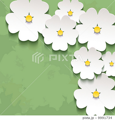 Vintage floral background with 3d flower sakura 9991734