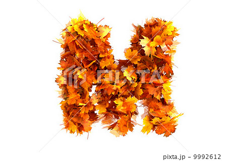 Fall alphabet letter Mのイラスト素材 [9992612] - PIXTA