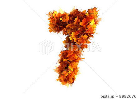 Fall alphabet digit 7 Fall alphabet digit 7 9992676