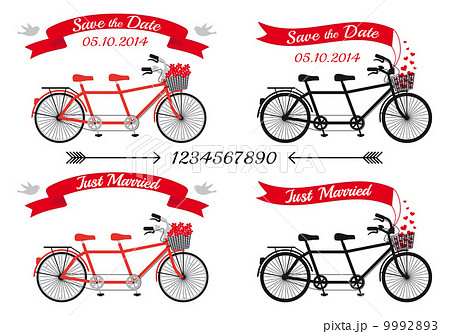 wedding invitation, tandem bicycles and ribbons, vector design elements 9992893