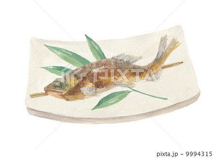 鮎の塩焼き 9994315