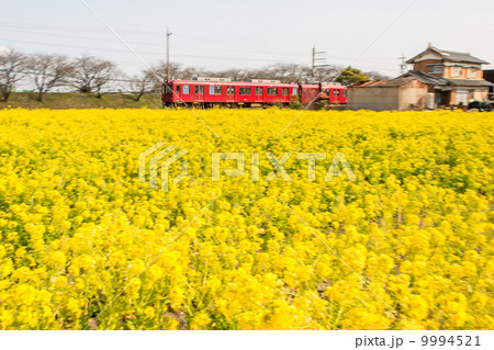春の鉄道 9994521