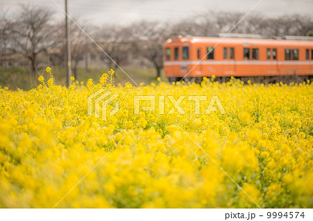 菜の花鉄道 9994574