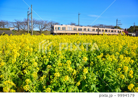 菜の花鉄道 9994579