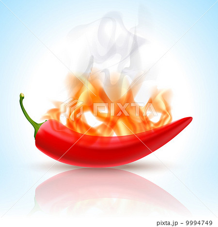 Burning Red Chili Pepper 9994749