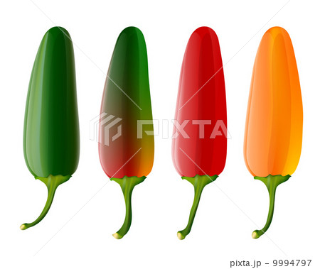 Set of 4 jalapeno peppers 9994797