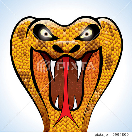 Scary Cobra Head 9994809