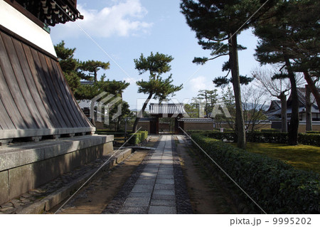 相国寺・境内(京都) 相国寺・境内(京都) 9995202