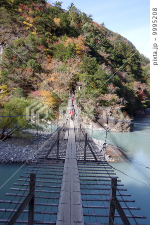 寸又峡・夢の吊橋 9995208