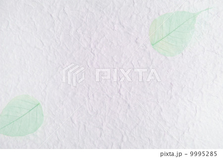 木の葉の紙すき 9995285