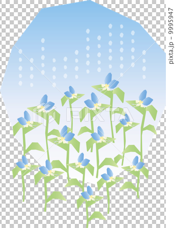 花園10-B堤津 9995947