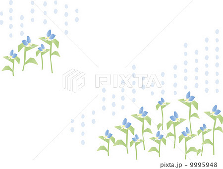 フラワーガーデン10-Aツユクサ フラワーガーデン10-Aツユクサ 9995948