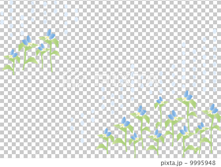 フラワーガーデン10-Aツユクサ フラワーガーデン10-Aツユクサ 9995948