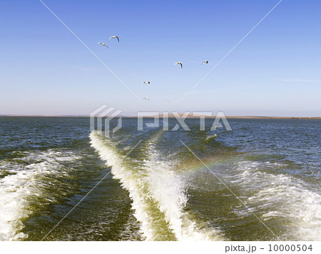 surf back from the sailing boat 10000504