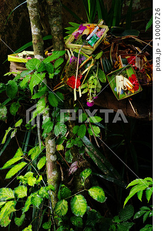 バリ島 バリ島 10000726