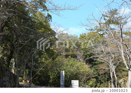 伊賀上野城 伊賀上野城 10001023