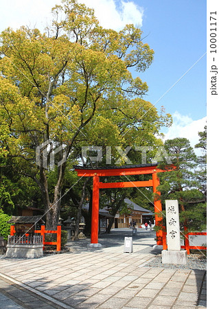 京都 城南宮 京都 城南宮 10001171