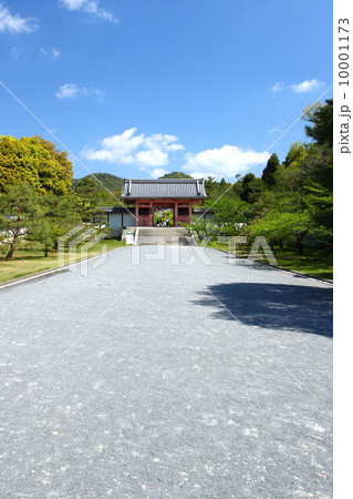 京都　仁和寺参道 10001173