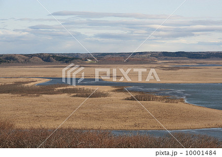 琵琶瀬展望台より 10001484