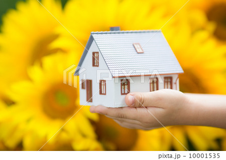 House in children`s hands House in children`s hands 10001535