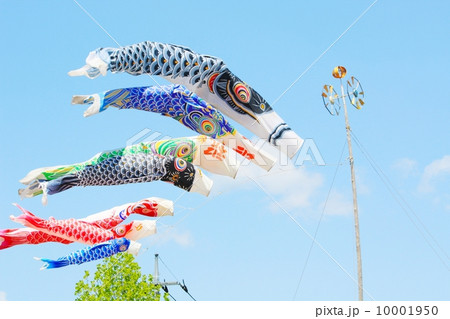 鯉のぼり 10001950
