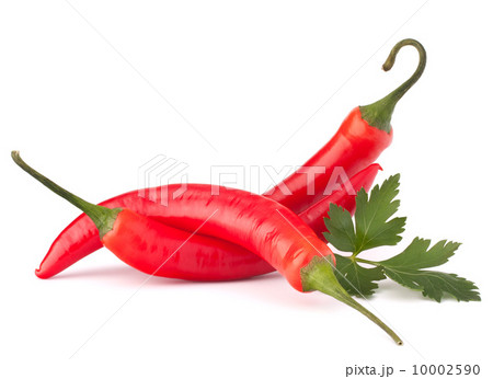 Hot red chili or chilli pepper and parsley leaves still life 10002590