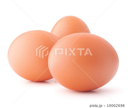 Egg isolated on white background cutout 10002696