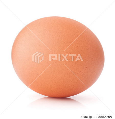 Egg isolated on white background cutout 10002709