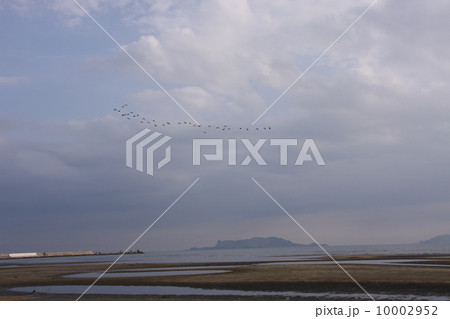 新舞子浜 新舞子浜 10002952