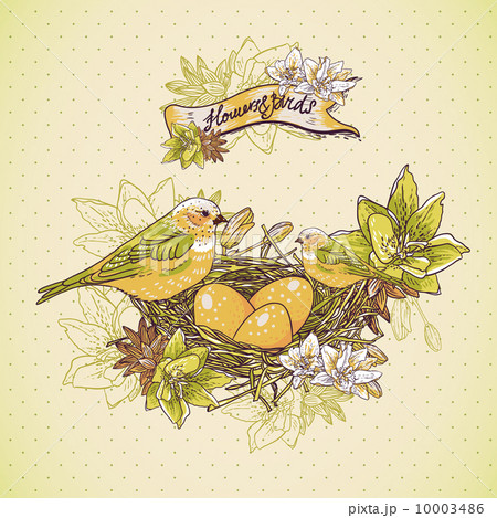 Vintage floral background with birds and nest 10003486