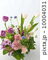 Spring Dialog 10004031