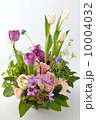 Spring Dialog 10004032