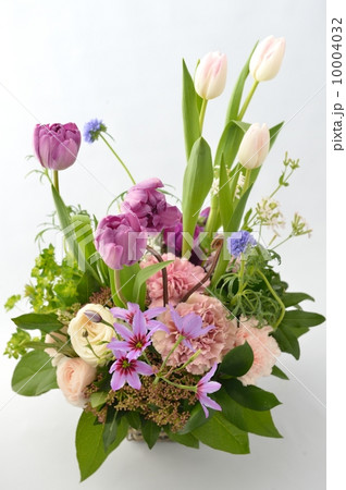 Spring Dialog 10004032