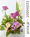 Spring Dialog 10004033