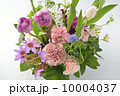 Spring Dialog 10004037