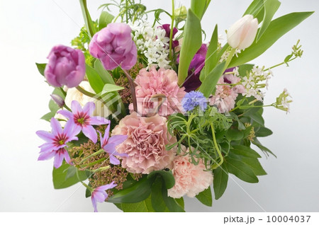 Spring Dialog 10004037