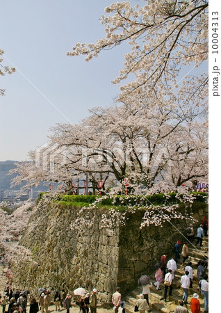 岡山・春の津山城 10004313
