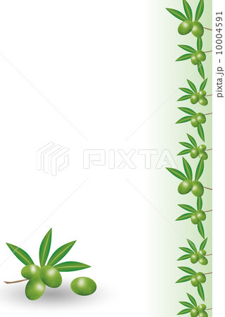 オリーブ 10004591